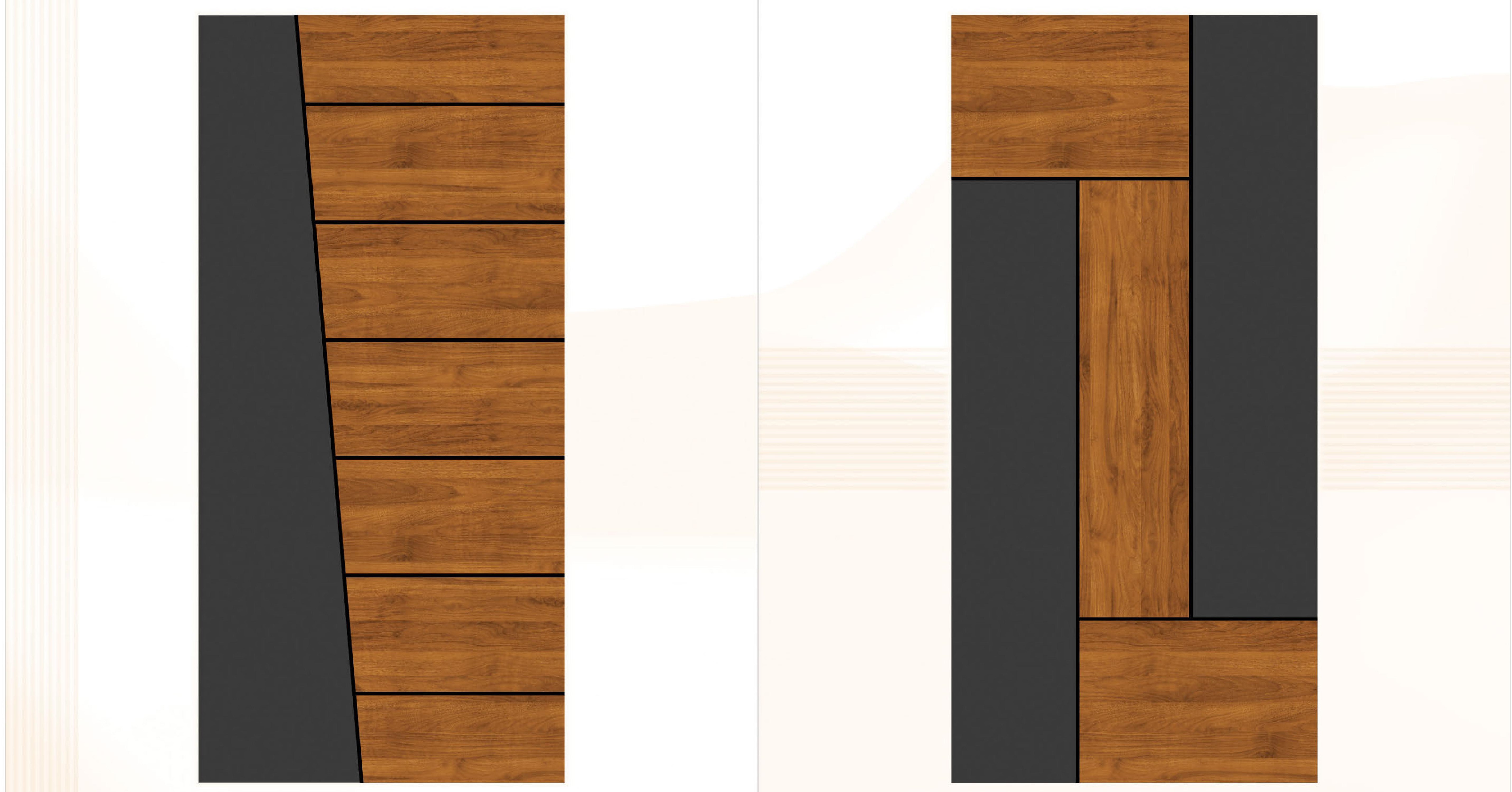 image-flush-door-2