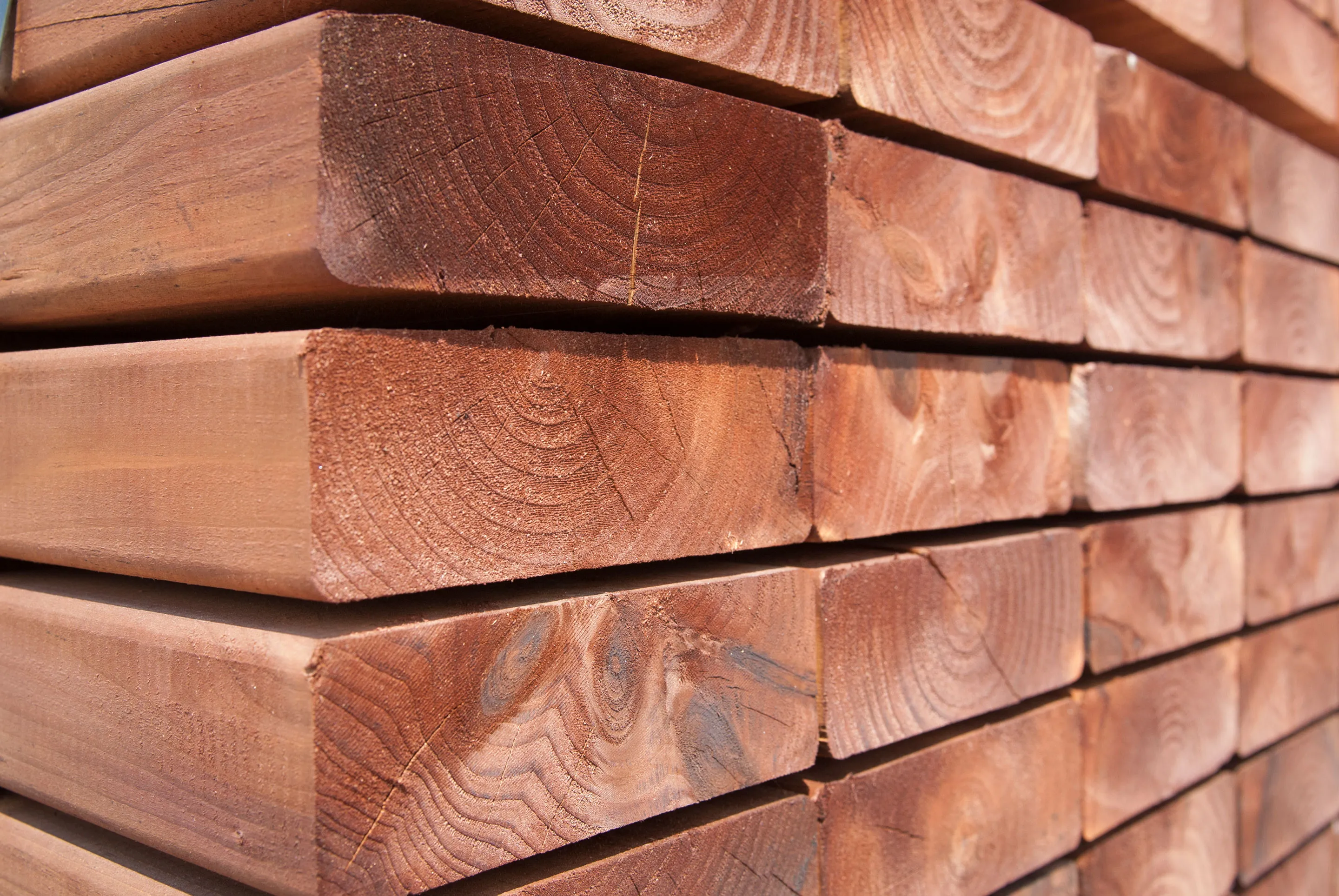 Cedar Wood